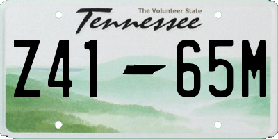TN license plate Z4165M
