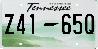 TN license plate Z4165Q