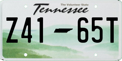 TN license plate Z4165T