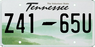 TN license plate Z4165U