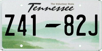 TN license plate Z4182J