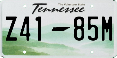 TN license plate Z4185M