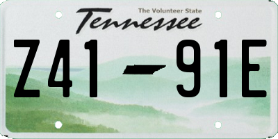 TN license plate Z4191E