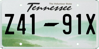 TN license plate Z4191X