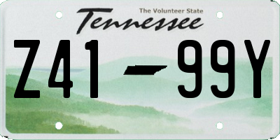 TN license plate Z4199Y