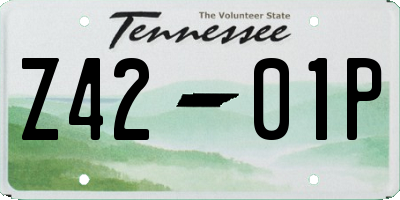 TN license plate Z4201P