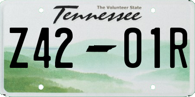 TN license plate Z4201R