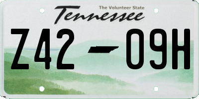 TN license plate Z4209H