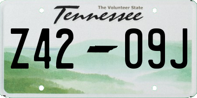 TN license plate Z4209J