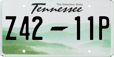 TN license plate Z4211P