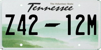 TN license plate Z4212M