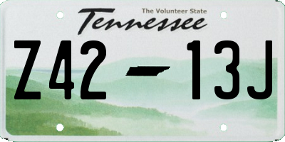 TN license plate Z4213J