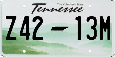 TN license plate Z4213M