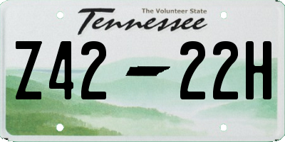 TN license plate Z4222H