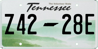 TN license plate Z4228E