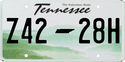 TN license plate Z4228H