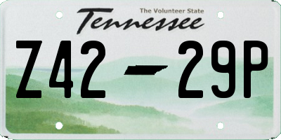TN license plate Z4229P