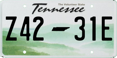 TN license plate Z4231E