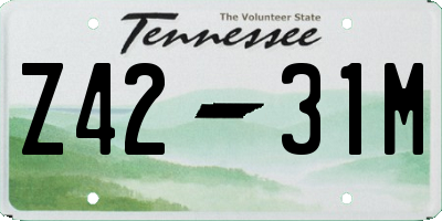 TN license plate Z4231M
