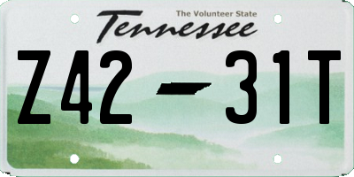 TN license plate Z4231T