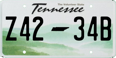 TN license plate Z4234B