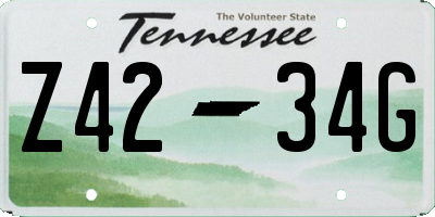 TN license plate Z4234G