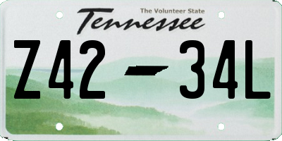 TN license plate Z4234L