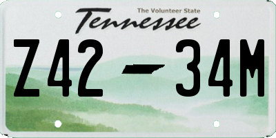 TN license plate Z4234M