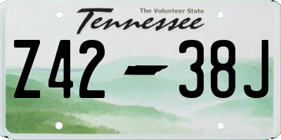 TN license plate Z4238J