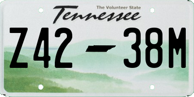 TN license plate Z4238M