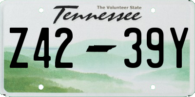 TN license plate Z4239Y