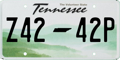 TN license plate Z4242P