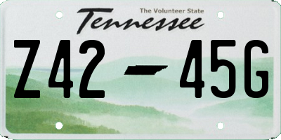 TN license plate Z4245G