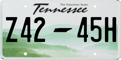TN license plate Z4245H