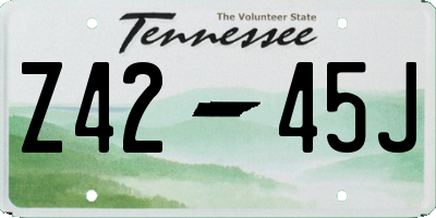 TN license plate Z4245J