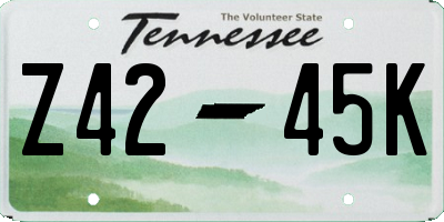 TN license plate Z4245K