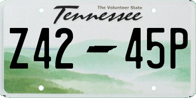 TN license plate Z4245P