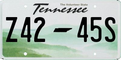 TN license plate Z4245S
