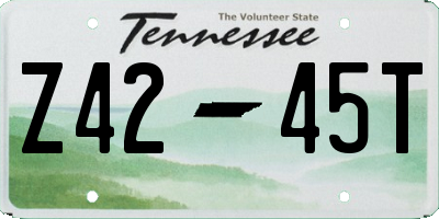 TN license plate Z4245T