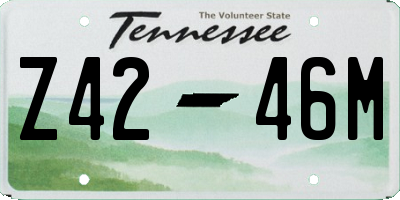 TN license plate Z4246M