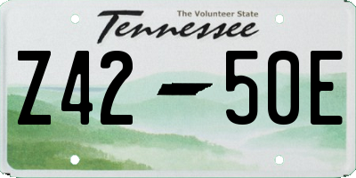 TN license plate Z4250E