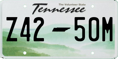 TN license plate Z4250M