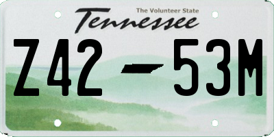 TN license plate Z4253M