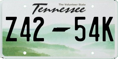 TN license plate Z4254K