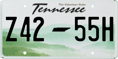 TN license plate Z4255H
