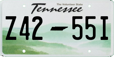 TN license plate Z4255I
