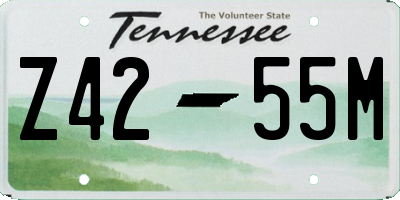 TN license plate Z4255M