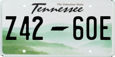 TN license plate Z4260E