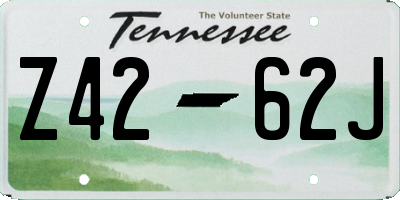 TN license plate Z4262J