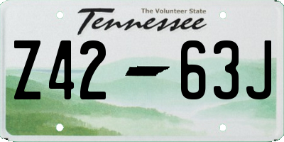TN license plate Z4263J